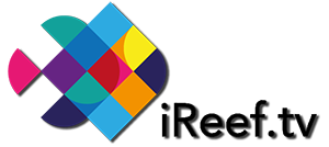 iReef.tv logo